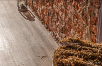 Vinilam Click 3.7мм 511003 Дуб Ульм фото 3 | FLOORDEALER